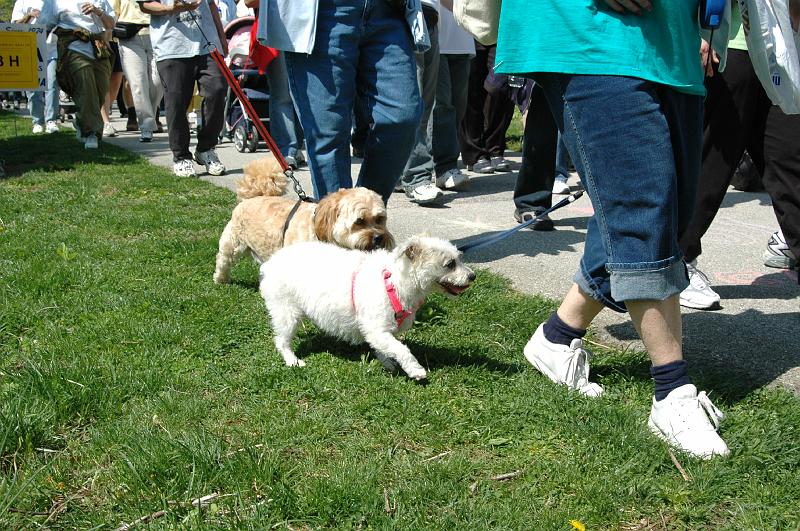 NAMIWalk07 (217) 